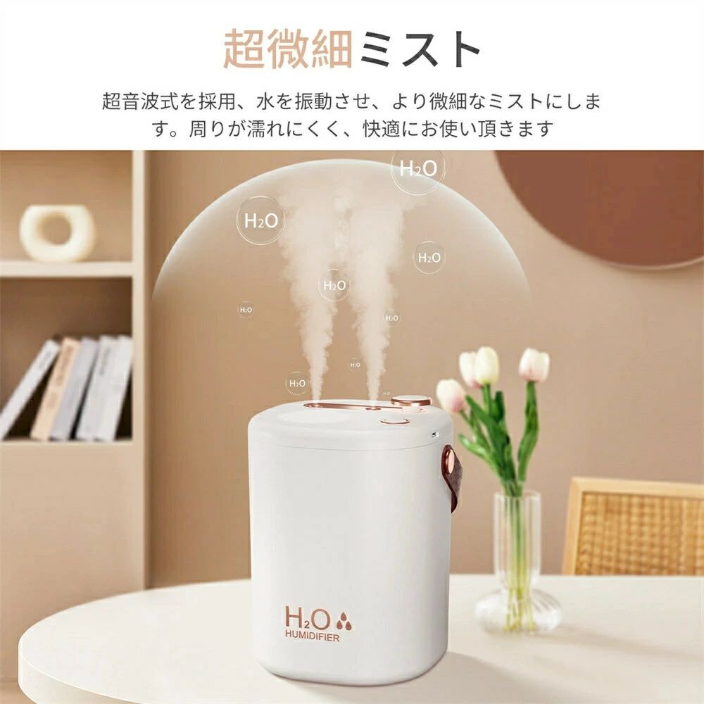 ソルベインの手入れ不要 加湿器 卓上 コンパクト 加湿器 卓上 おしゃれ 大容量 2L USB充電式 コードレス 上部給水式 空焚き防止 次亜塩素酸水対応 省エネ ダブルノズル オフィス リビング 部屋 車用 /JSQ /HOT 充電式 アロマ 除菌 静音 空気清浄機｜アングル3