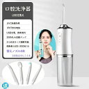 【新発売限定記念価格!】口腔洗浄器 usb 充電式 超音波 歯垢除去 電動 携帯型 歯ブラシ 歯垢除去 父の日 口内洗浄機 ジェットウォッシャー 歯石取り 口腔...