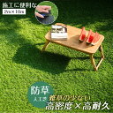 【新発売限定記念価格!】人工芝 ロール 2m×10m 芝丈20mm ピン42本つき 2色立体感 高品質 高密度 色落ちにくい 抜けにくい 復元性 立体感 青緑 PP306534AAA 透水穴つき リアル ふかふか