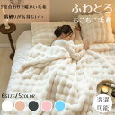 【新発売限定記念価格!】【TV・SNSで話題沸騰】高品質 毛布 ふわとろ毛布 モコモコとろとろ ふわふわ ミニ ハーフシングルセミダブル ダブルクイーンふわもこ ひざ掛けおしゃれ 暖かい 厚手 軽量 洗濯可 秋冬 冷房対策 旅行 ギフト もこもこ毛布 ブランケット