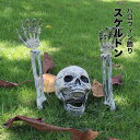 【新発売限定記念価格!】「三点セット」ハロウィン 飾り ドクロ スケルトン 頭蓋骨 あご可動 パーティー コスプレ COS DIY可能 欧米 プレゼント ギフト かっこいい コミケ 骨 ボーン 怖い 恐怖 雰囲気