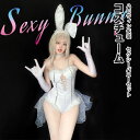 【166時間限定価格】コスプレ セクシー セックシー バニーガール 大人 衣装 仮装 男ウケ 白衣装 色気 スカート 可愛い ハロウィン かっこいい トップス 女の子 女 大人 面白い 雰囲気 cosplay パーティー 演出 舞台 コスチューム 変装 兎耳 兎ミミ 可愛い