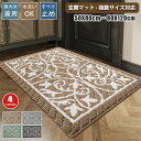 【新発売限定記念価格!】マット 玄関マット 屋内用マット カーペット 足拭きマット 業務用 ドアマット エントランスマット 店舗 洗える 滑り止め おしゃれ ナ...