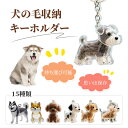 【最大P57倍,実質1143円 8/11 まで】犬の毛 キーホルダー ペット 遺毛 ケース 透明 ペット ペットメモリアルボトル 犬の毛収納ボトル 犬のキーホル...