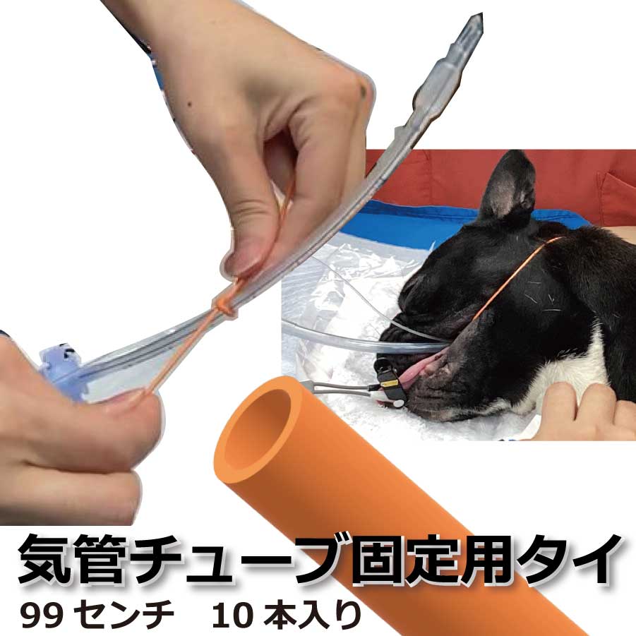 気管チューブ固定用タイ 99センチ 10本 動物病院向き　気管挿管　チューブ固定紐［オランチア］【お試し10本 サンプル価格】