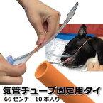 気管チューブ固定用タイ 66センチ 10本　動物病院向き　気管挿管　チューブ固定紐 ［オランチア］【お試し10本 サンプル価格】