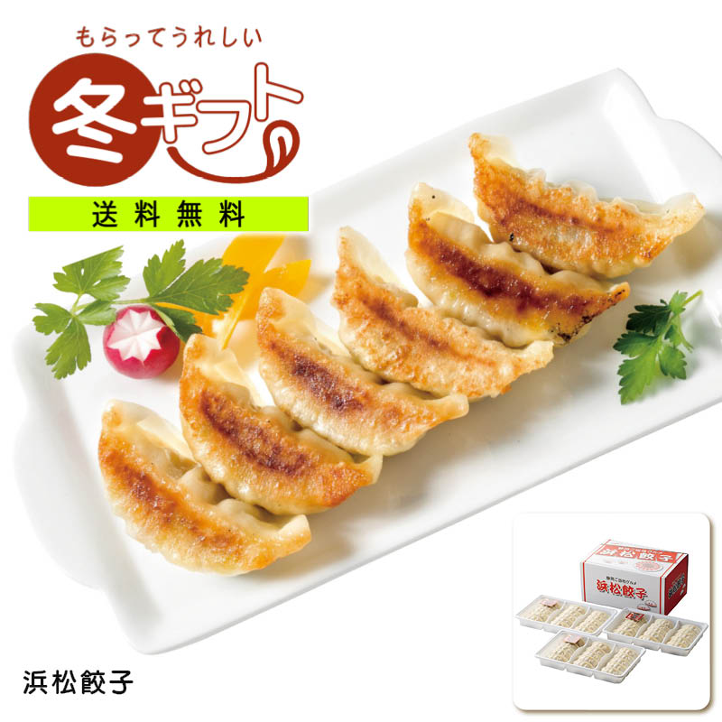 お歳暮 送料無料＜浜松餃子＞浜松餃子アイエスワイ 惣菜 家族 夕食 友人 交流 お祝い 内祝い プレゼント お返し用※こちらの商品はメーカー直送品です。