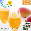 お中元 送料無料トロピカルマンゴージュースマンゴー 果肉感 甘さ 夏 バーベキュー パーティー※こちらの商品はメーカー直送品です。