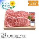 【早割クーポン&P2倍】お中元 送料無料<千成亭>近江牛 サーロインステーキ 2枚高級肉 ディナー ギフト グルメ 牛肉※こちらの商品はメーカー直送品です。