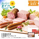 【早割クーポン&P2倍】お中元 送料無料<三田屋総本家>三田屋ギフトセット神戸ビーフ 高級肉 焼肉用 ハムセット 贈り物※こちらの商品はメーカー直送品です。