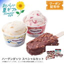 お中元 送料無料<ハーゲンダッツ>ハーゲンダッツ スペシャルセットアイスクリーム 濃厚 フレーバー デザート 贅沢※こちらの商品はメーカー直送品です。