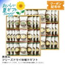 お中元 送料無料 【包装/のし印字OK】<美味心>フリーズドライ味噌汁ギフト簡単 栄養 和風だし 手軽 朝食 夕食