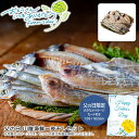 父の日 ギフト 早割 プレゼント父の日 山陰海鮮一夜干しセット干物 おつまみ 贈り物 魚介類 特別な日※こちらの商品はメーカー直送品です。