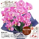 敬老の日 プレゼント敬老の日 アーティフィシャルフラワー ミニ胡蝶蘭3本立ち ダークラベンダー造花 胡蝶蘭 プレゼント インテリア ギフト※こちらの商品はメーカ...