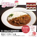 【本日P10倍】【土日限定クーポン配布中】母の日 プレゼント<ラ・ロシェル>母の日 ラ・ロシェル坂井宏行監修 フレンチシェフの深みビーフカレー6個母の日 ギフト...