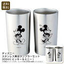 【土日限定クーポン配布中】<ディズニー>ステンレス真空タンブラーセット300ml(ミッキー&ミニー)ディズニー タンブラー ステンレス おしゃれ ギフト お祝い...