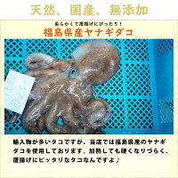 タコ唐揚げ(塩味)1kg(250g×4Pの小分けパック)送料無料(冷凍/国産/福島県相馬産/お弁当に/保存料化学調味料着色料無添加)鮟鱇唐揚げおかずつまみお弁当揚げ物お惣菜冷凍無添加たこ蛸
