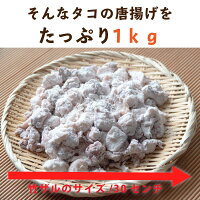 タコ唐揚げ(塩味)1kg(250g×4Pの小分けパック)送料無料(冷凍/国産/福島県相馬産/お弁当に/保存料化学調味料着色料無添加)鮟鱇唐揚げおかずつまみお弁当揚げ物お惣菜冷凍無添加たこ蛸