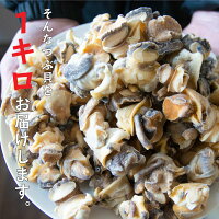 つぶ貝ボイル【お刺身OK】1kg『送料無料』福島県産★無選別だから国産なのにこのお値段!(冷凍/福島県産/お刺身/煮ツブ/アヒージョ/保存料・化学調味料・着色料・無添加)灯台つぶトウダイツブおつまみ