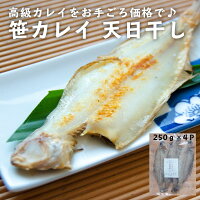 【送料無料】福島県産カレイ(ヤナギカレイ)の干物1kg(250g×4P)1枚40g〜60g訳あり小サイズだから高級カレイが低価格でお召し上がり頂けます!(ヤナギカレイ天日干し国産冷凍ササガレイササカレイ笹カレイ笹ガレイ)