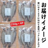 【送料無料】福島県産カレイ(ヤナギカレイ)干物1kg(250g×4P)1枚40g〜60g(天日干し国産冷凍ササガレイササカレイ笹カレイ笹ガレイヤナギガレイやなぎがれい干物小訳ありおかず一夜干し訳あり業務用お徳用)