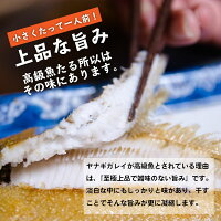 【送料無料】福島県産カレイ(ヤナギカレイ)の干物1kg(250g×4P)1枚40g〜60g訳あり小サイズだから高級カレイが低価格でお召し上がり頂けます!(ヤナギカレイ天日干し国産冷凍ササガレイササカレイ笹カレイ笹ガレイ)