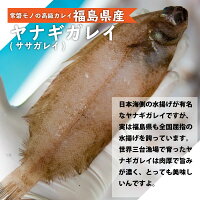 【送料無料】福島県産カレイ(ヤナギカレイ)干物1kg(250g×4P)1枚40g〜60g(天日干し国産冷凍ササガレイササカレイ笹カレイ笹ガレイヤナギガレイやなぎがれい干物小訳ありおかず一夜干し訳あり業務用お徳用)