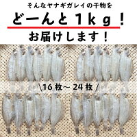 【送料無料】福島県産カレイ(ヤナギカレイ)干物1kg(250g×4P)1枚40g〜60g(天日干し国産冷凍ササガレイササカレイ笹カレイ笹ガレイヤナギガレイやなぎがれい干物小訳ありおかず一夜干し訳あり業務用お徳用)