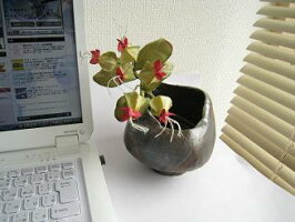 ☆送料無料☆シルク100%☆☆手作りならではの美しい染色☆ちりめん染花一輪挿(いちりんざし)≪源平かずら≫【smtb-k】【ky】【楽ギフ_包装】