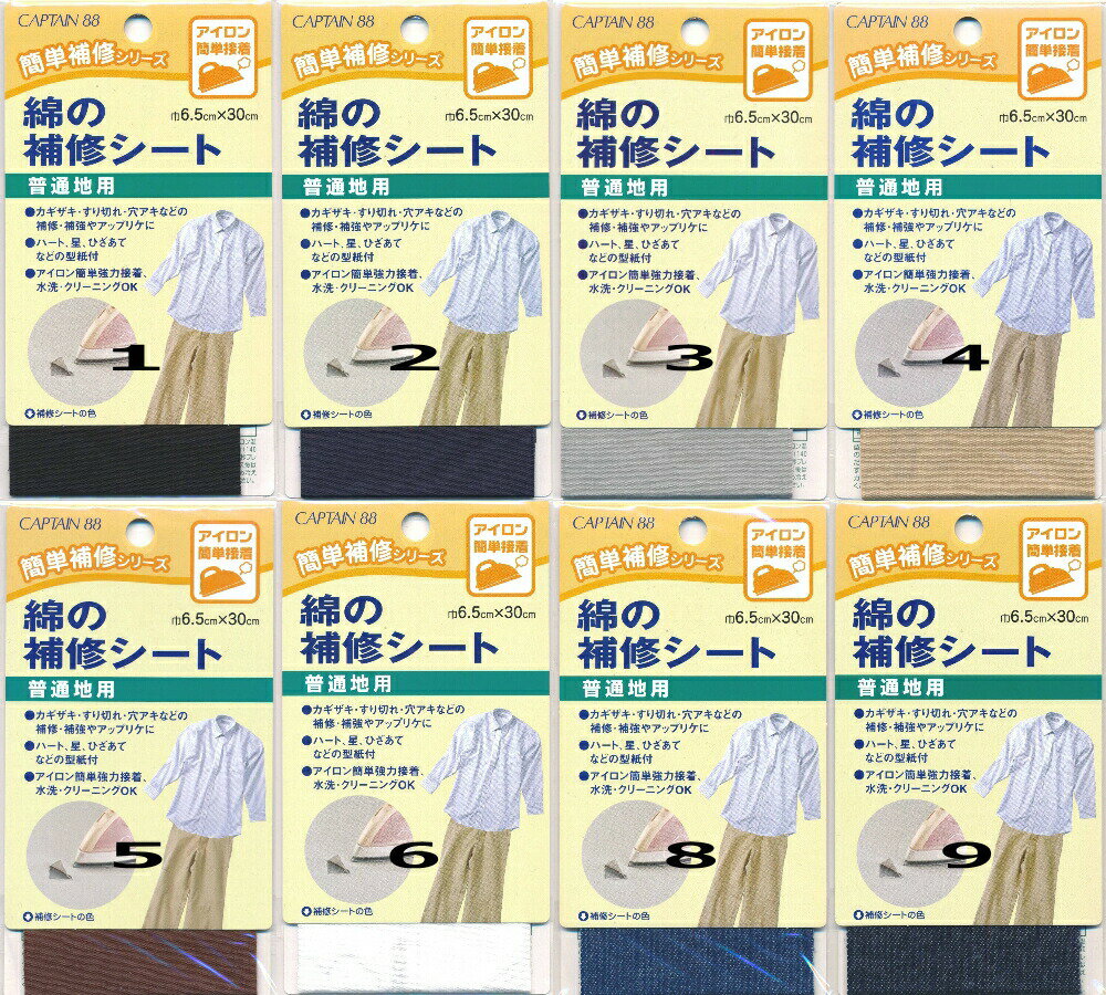 CP110 ץƥ ʤ佤