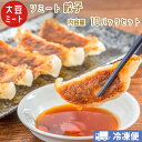 【クール 冷凍便】ソミート 大豆ミート 餃子 10個×10パック ヴィーガン ベジタリアン ダイエット 動物性 原材料 不使用 高たんぱく質 SoMeat 染野屋