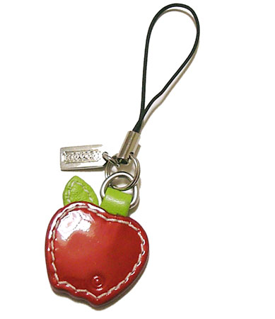 COACH/���������åץ���ӥ��ȥ�å�F92171SV/RD