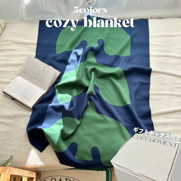 ひざ掛け 夏 ブランケット 韓国 北欧 暖かい 膝掛け 大判 オフィス ソファ ソファカバー ベッドカバー 毛布 かわいい インテリア 夏用 モダン オールシーズン 120cm 90cm 韓国インテリア 誕生日 新築祝い 引越し ギフト プレゼント 10代 20代のサムネイル