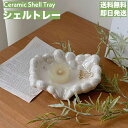 アクセサリートレー 貝 シェル 小物入れ 鍵置き 玄関 トレイ トレー プレート おしゃれ 小物置き 可愛い 韓国インテリア 韓国雑貨 北欧雑貨 オブジェ 新築祝い プレゼント 誕生日 1000円ポッキリ 送料無料
