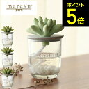 mercyu メルシーユー リードディフューザー Nordic Collection MRU-91 / 1ヶ月 スティック アロマディフューザー フレグランス ルームフレグランス 玄関 リビング 多肉植物 芳香 おしゃれ 誕生日プレゼント 女性