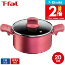 ティファール T-fal IHルージュ・アンリミテッド シチューポット 20cm IH対応 ガス火対応 G26244 両手鍋(直送) t-fal Tfal
