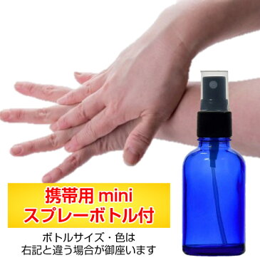 次亜塩素酸水 肌にやさしい微酸性『ポケット除菌水 200ml 5本セット miniスプレーボトル付』1リットル 抗菌剤 持ち運び バッグイン 消臭 子供も高齢者も 外出時に 小分け