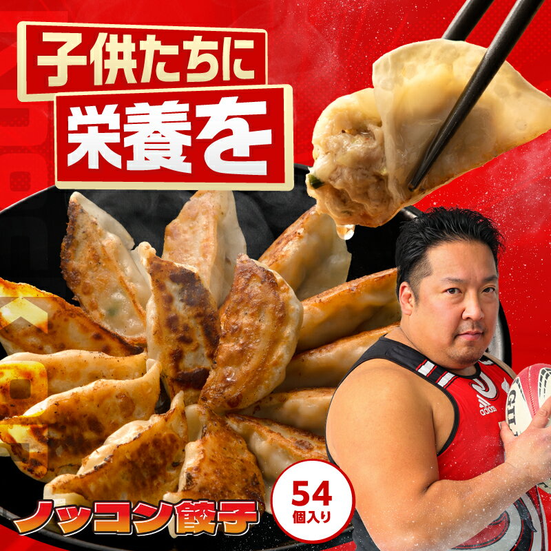 【ノッコン餃子】ノッコン寺田と大阪の村長が夢のコラボで誕生した冷凍生餃子 餃子 ノッコン寺田 村長 冷凍食品