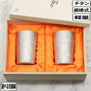 【マラソン最大10%OFFクーポン】HORIE ホリエ チタン製二重タンブラー 窯創り ライト シルバー ペアT-09-KMS270ペア 銀婚式 軽量 軽い 保...