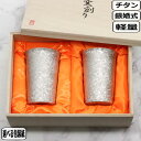 【6月1日5千円8%OFFクーポン】HORIE ホリエ チタン製二重タンブラー 窯創り 広口 小 シルバー ペアT-13-KMS300ペア 銀婚式 軽量 軽い ...