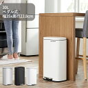 ゴミ箱 ふた付き 30L ペダル式ダストボックス 横型 薄型 キッチン リビングルーム おしゃれ ステンレス 大容量 防臭 送料無料(北海道 沖縄 離島など除く)