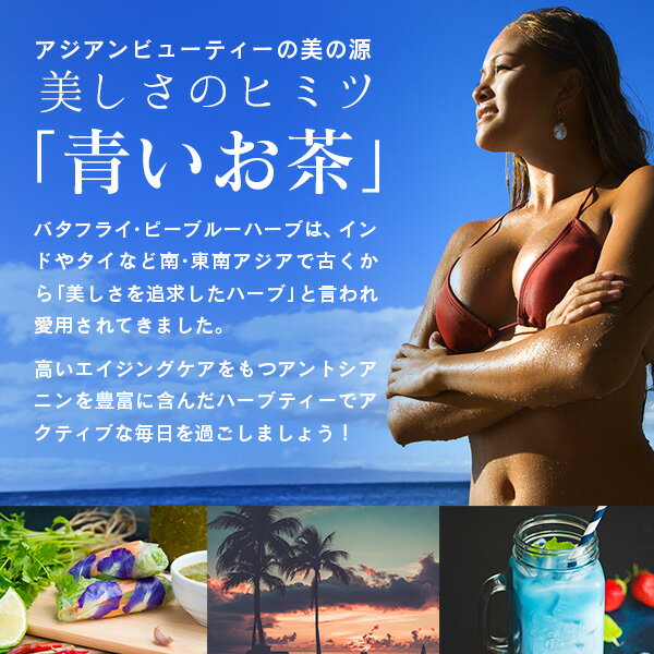 TVで話題沸騰 バタフライピー 青いお茶 ハー...の紹介画像3