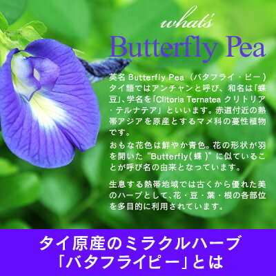 楽天市場 雑誌で紹介 バタフライピー 青いお茶 ハーブティー ティーバッグタイプ 2g 8個入り 2袋セット 1袋あたり940円 満天屋 Mantenya 楽天市場 雑誌で紹介 バタフライピー 青いお茶 ハーブティー ティーバッグタイプ 2g 8個入り 2袋セット 1袋あたり940円 満天屋 Mantenya