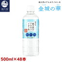 金城の華 純天然のアルカリイオン水 500ml 24本入り×2ケース (非加熱 国産 天然水 アルカリ性) ※1本あたり120円【2024年4月下旬より順次発送開始予定】