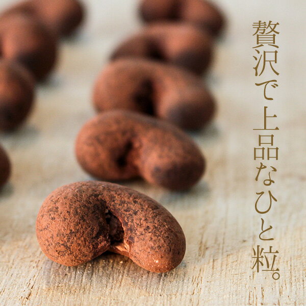 生カシューチョコ クラフトジップタイプ 100g×2個セット 生カシューチョコ クラフトジップタイプ 100g×2個セット