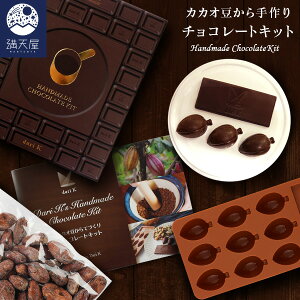 ＜手作りキット＞カカオ豆から手作りチョコレートキット (ダリケー Dari K てづくりプレゼント 自由研究 お菓子作り)