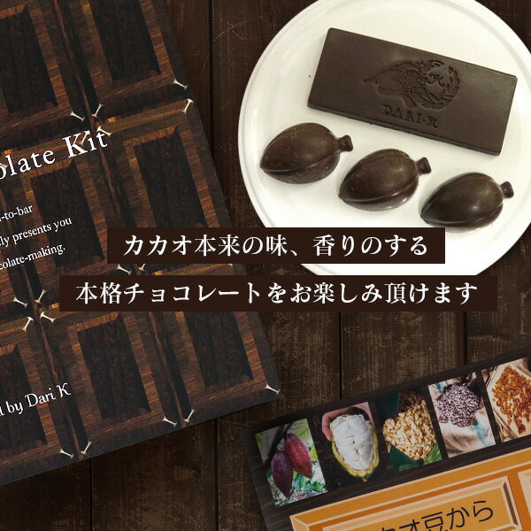 DariK『カカオ豆から手作りチョコレート・キット』