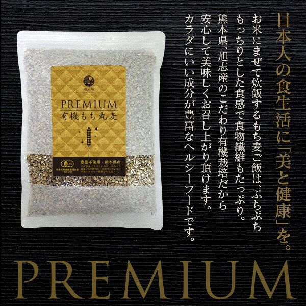＜有機JAS認証＞ 有機 もち麦 国産 500g (もち丸麦 雑穀米 麦ご飯 もちむぎ)