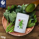 【お試し訳あり】国産 明日葉パウダー 70g ~ さらっとまるごと明日葉 ~ ( あしたば アシタバ 粉末 八丈島産 無添加 無着色 保存料不使用 カルコン 明日葉茶 あしたば茶 アシタバ茶 お茶 )