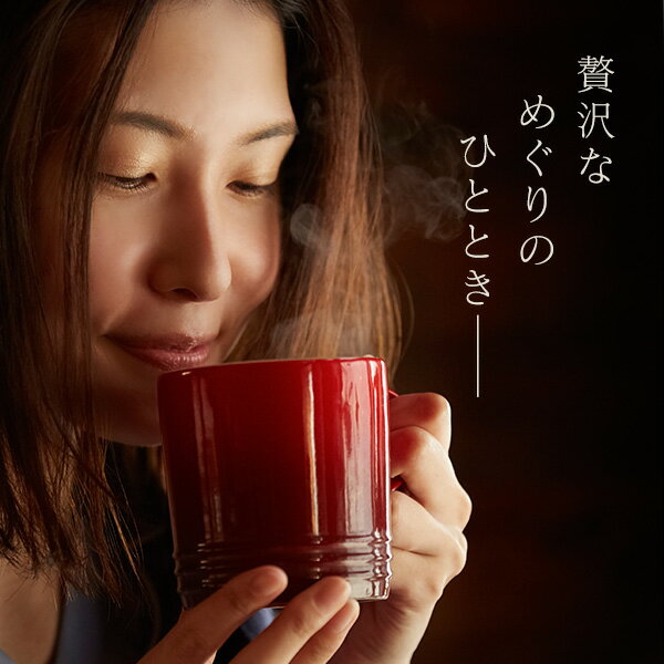 �ҥϥġ����󥸥㡼��16��Υե롼�ĥɥ�� 200g (���� �ӥ��ߥ���� ���礦���� ��ժ �ҥС��� ���ѥ��� ���ƥɥ��)